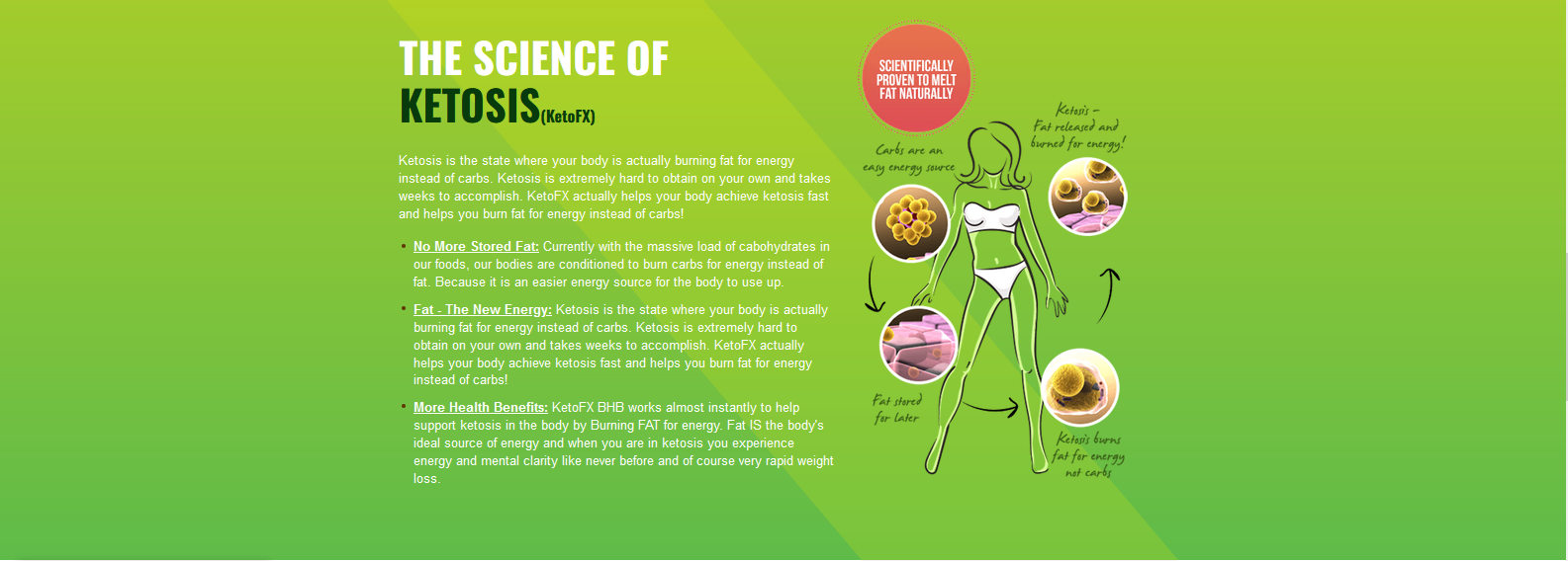 keto-fx-ingredietns